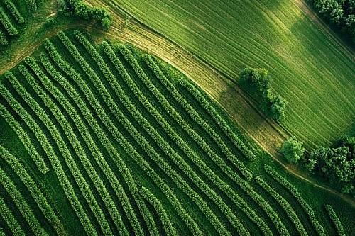 Crop Protection Manufacturers Hold Regular Talks on Russian Pesticide Market Regulation