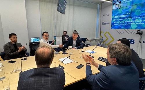 AEB committees push for long-term power certificate deals to boost green energy funding