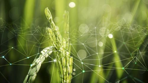 Crop Protection Committee and Avito Move to Tighten Controls on Pesticide Sales